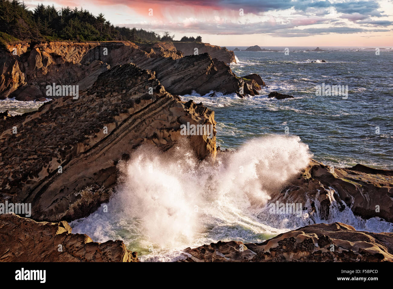 Dernière lumière comme les vagues s'écraser sur les falaises de grès de l'Oregon's Shore Acres State Park. Banque D'Images