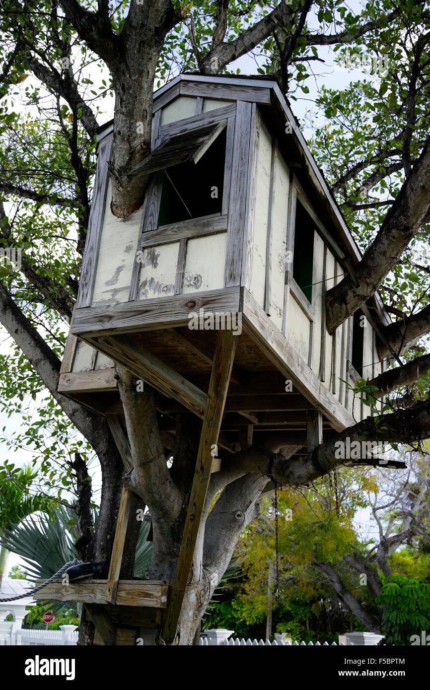 Enfants Maison de l'arbre à Key West en Floride USA Voyages Banque D'Images Enfants Maison de l'arbre à Key West en Floride USA Voyages Banque D'Images