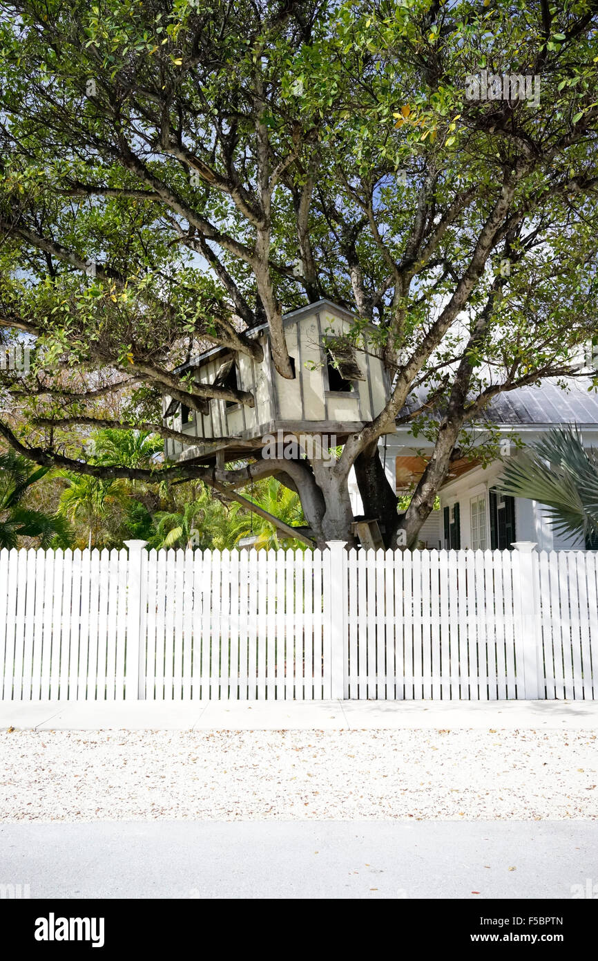 Enfants Maison de l'arbre à Key West en Floride USA Voyages Banque D'Images Enfants Maison de l'arbre à Key West en Floride USA Voyages Banque D'Images