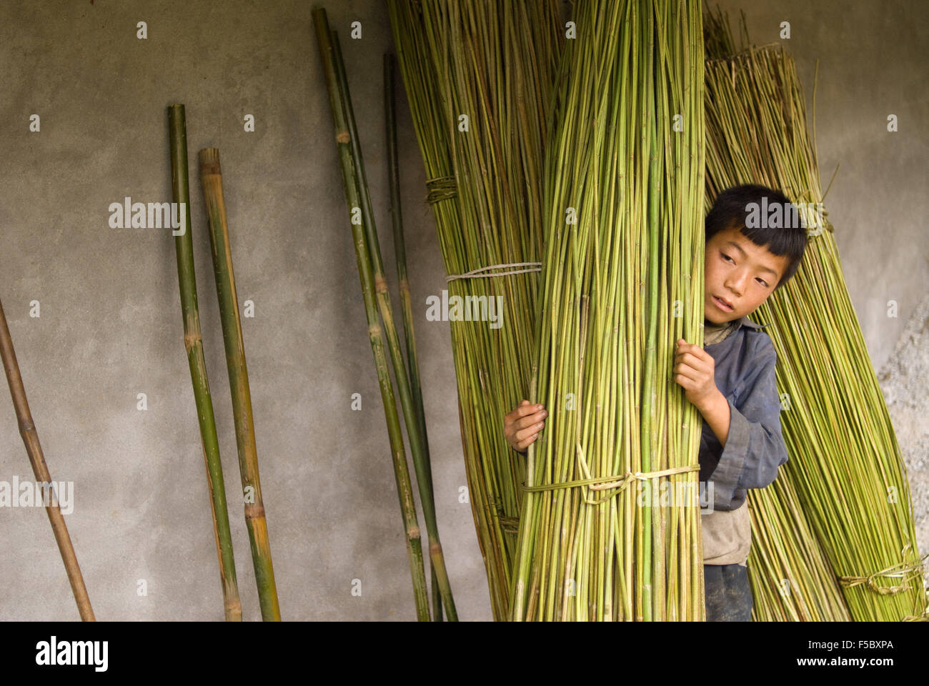Un garçon s'acquitter en bambou le chemin de Sapa pour les villages de Lao Chai et Ta Van. Le Vietnam. Banque D'Images