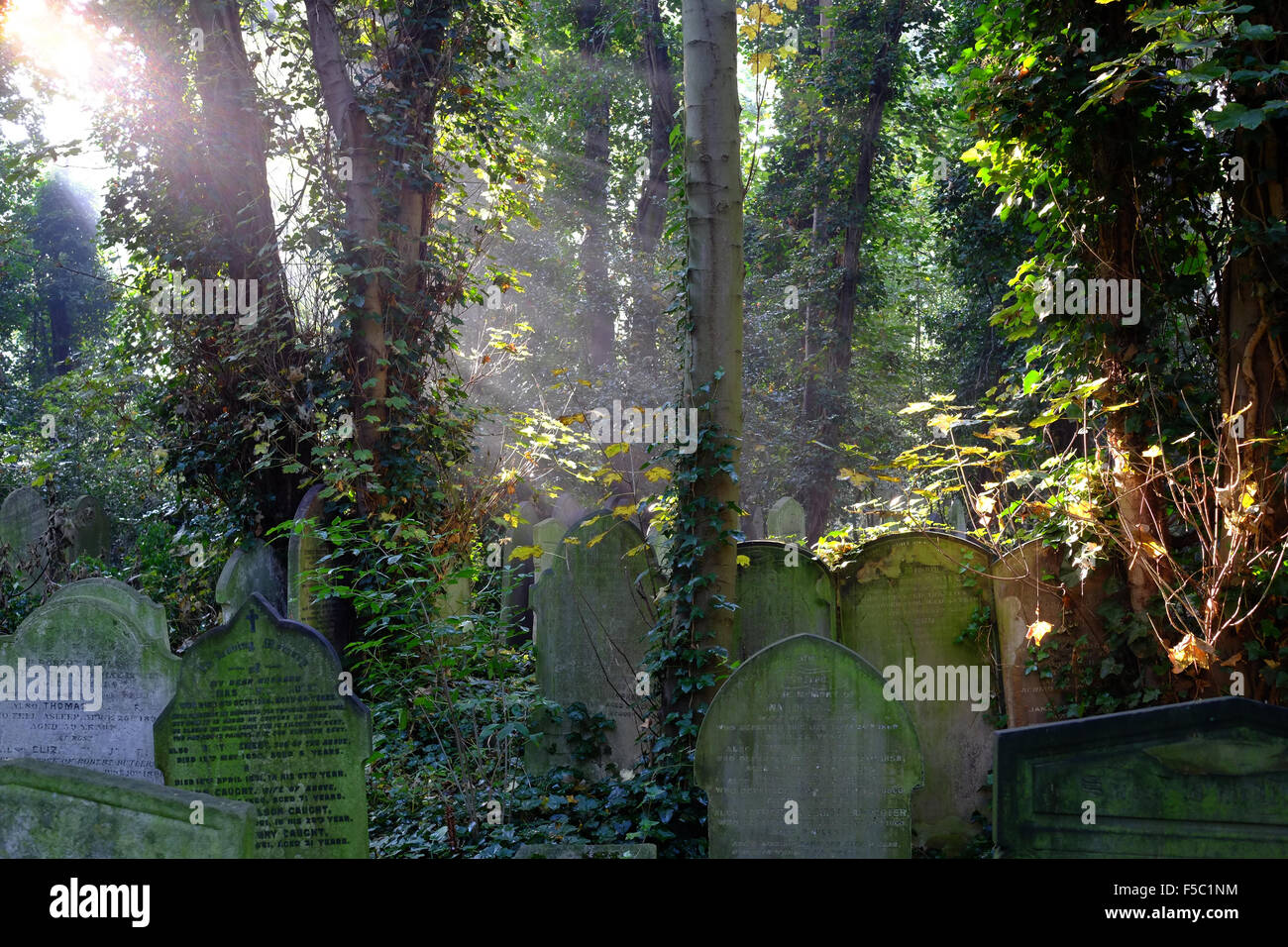 Les rayons du soleil sur les pierres tombales envahies dans la région de Tower Hamlets Cemetery Park, London, UK Banque D'Images