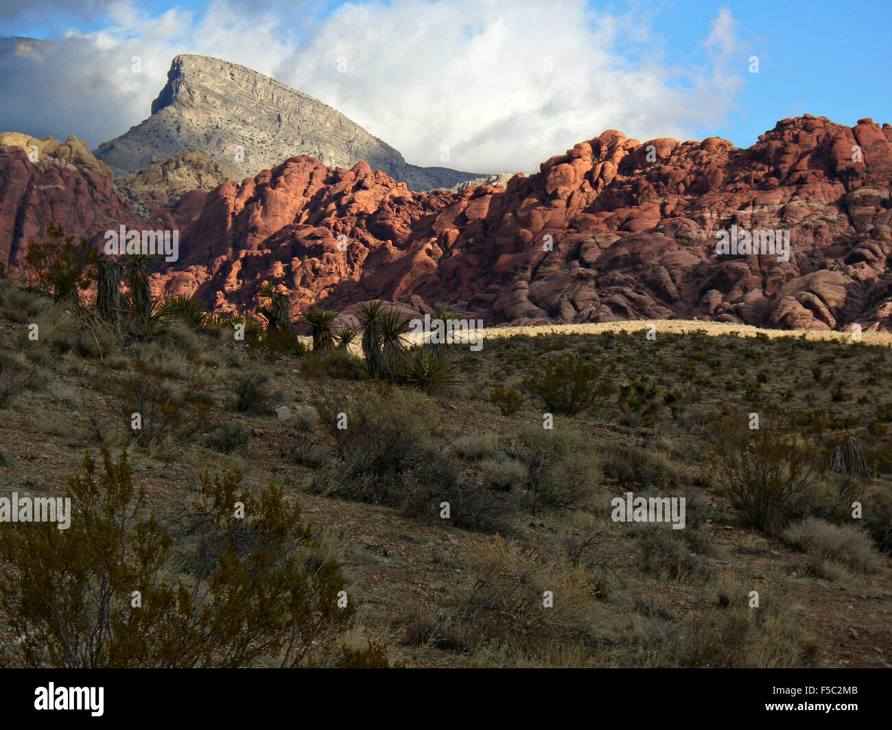 Red Rock Canyon National Conservation Area près de Las Vegas, Nevada. Banque D'Images