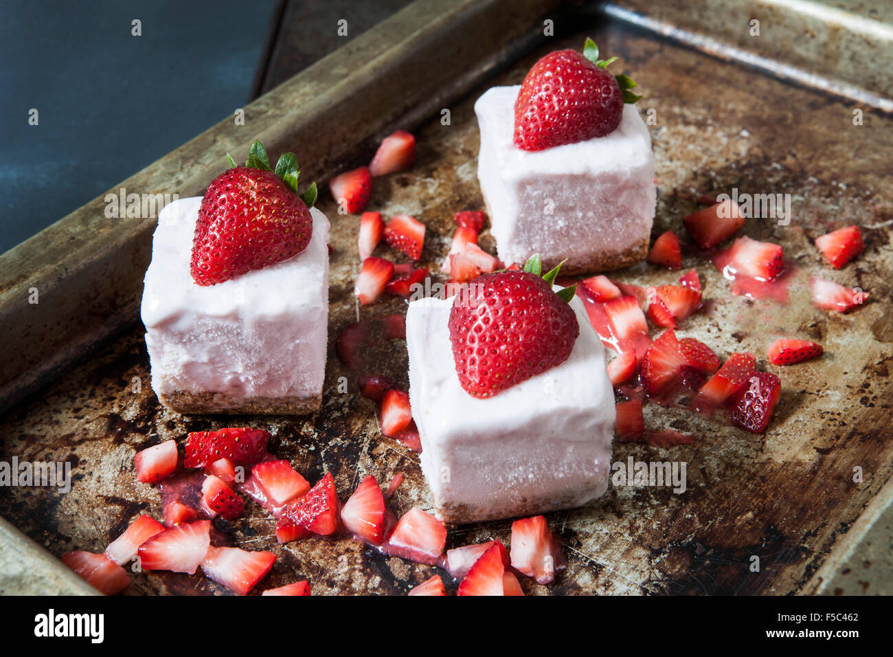 Le Yogourt glacé aux fraises mord avec croûte de biscuits Graham Banque D'Images