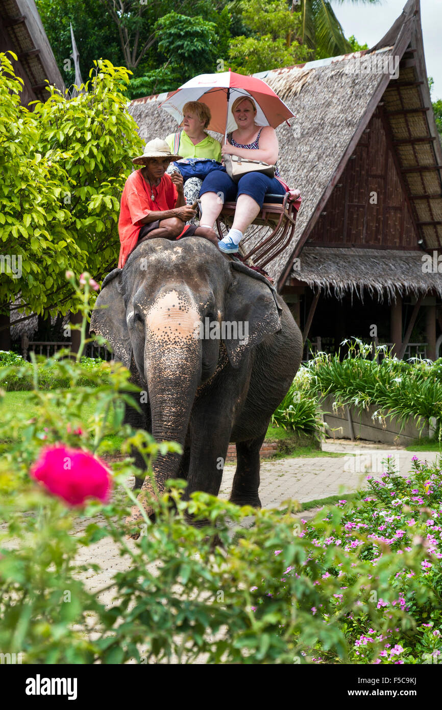 Tour d'éléphant, Rose Garden Riverside, Bangkok, Thaïlande Banque D'Images