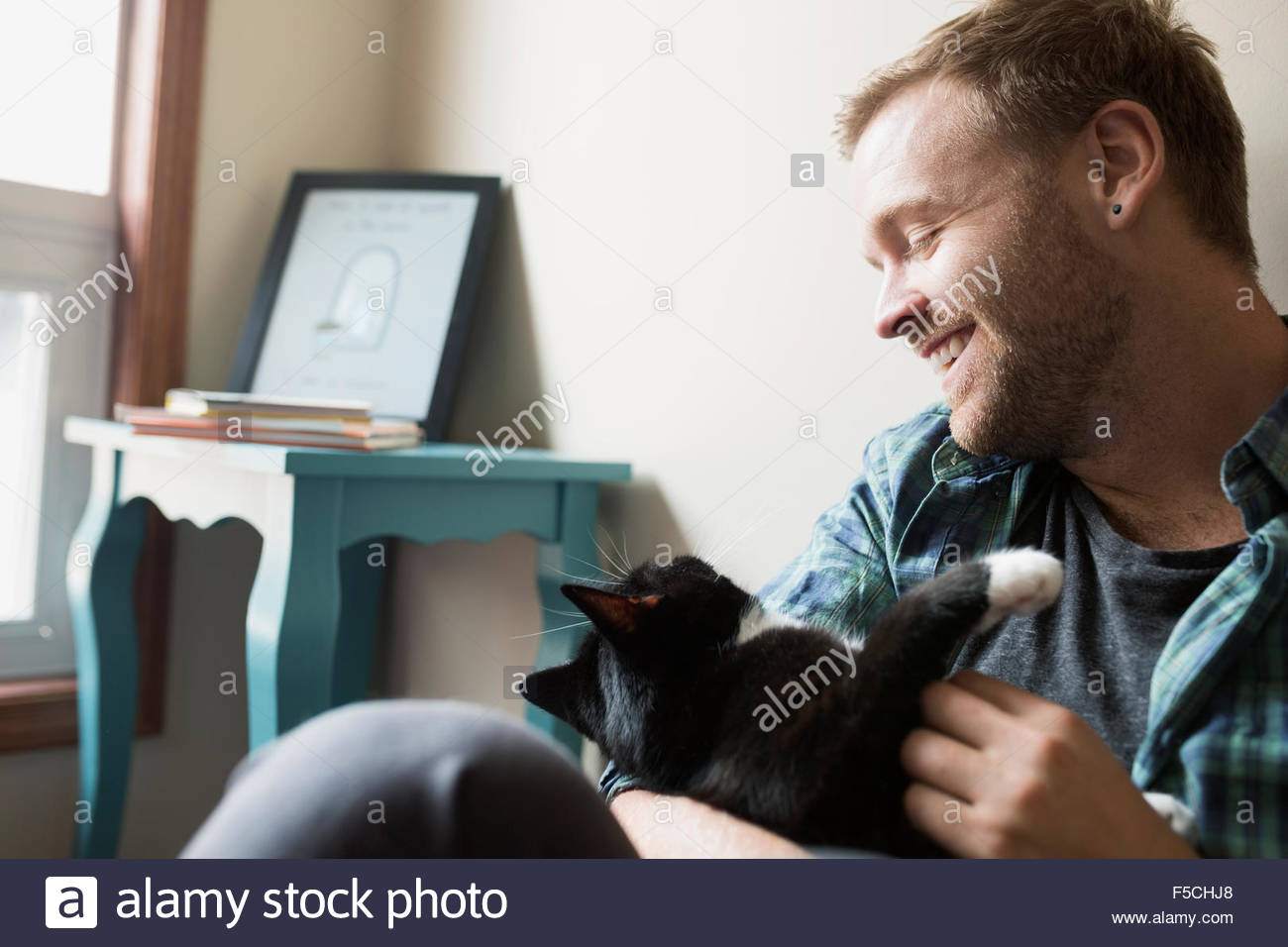 Chat affectueux Banque de photographies et d’images à haute résolution