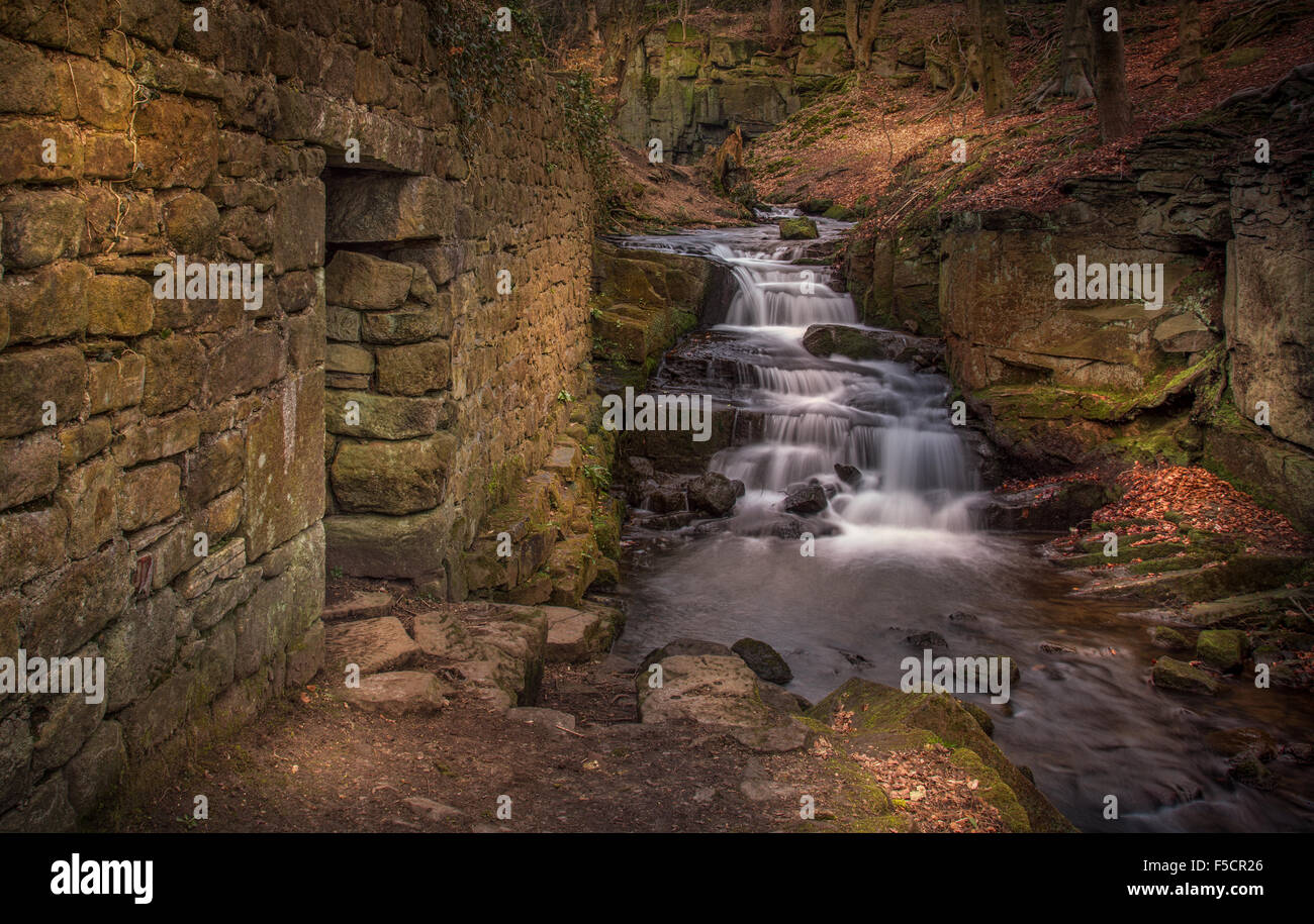 Lumsdale cascades, Matlock, Derbyshire. Banque D'Images