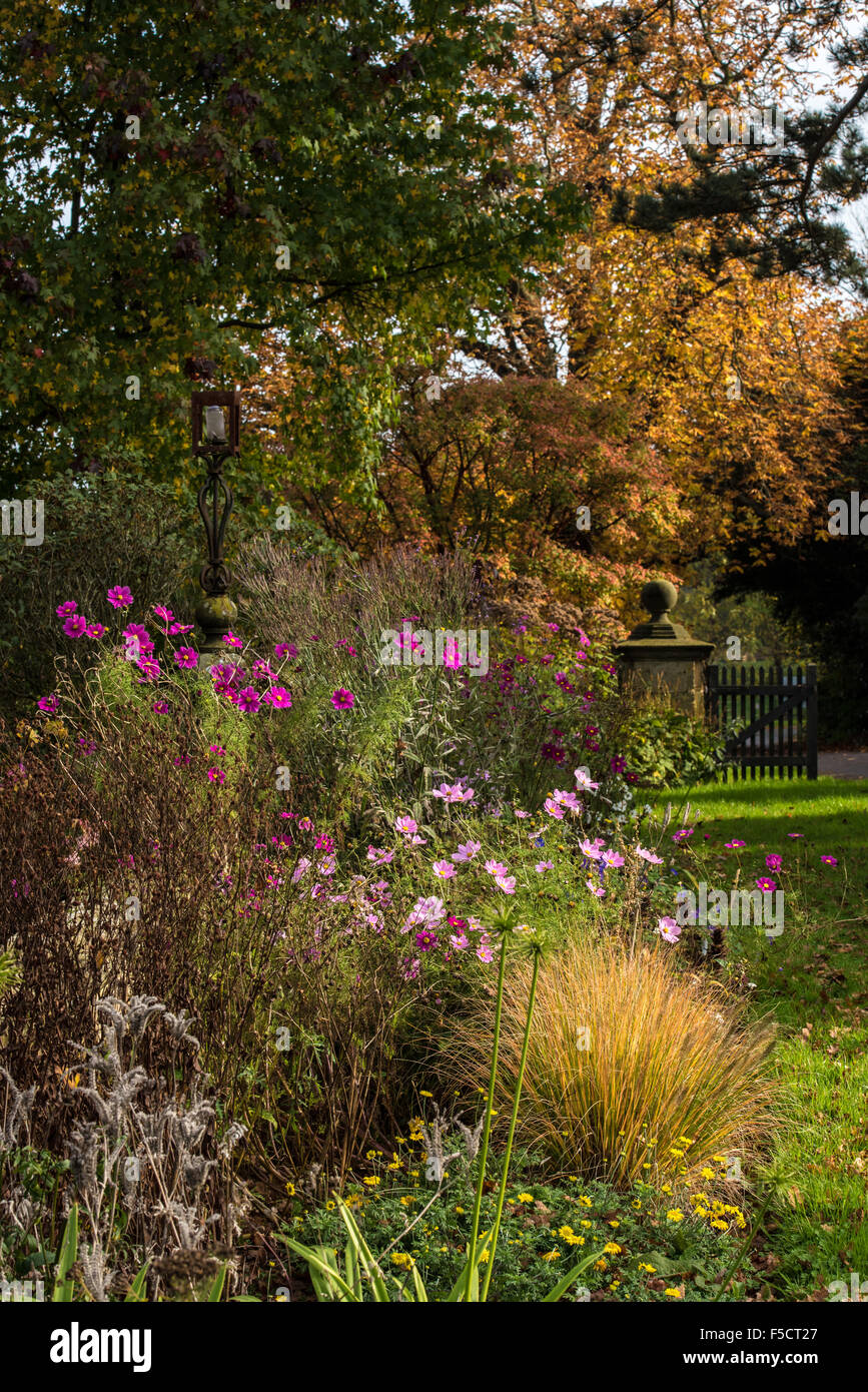 Fleur d'automne rose avec bordure, graminées, cosmea marguerites et arbre et la couleur de la feuille en face de Borde Hill House. Banque D'Images