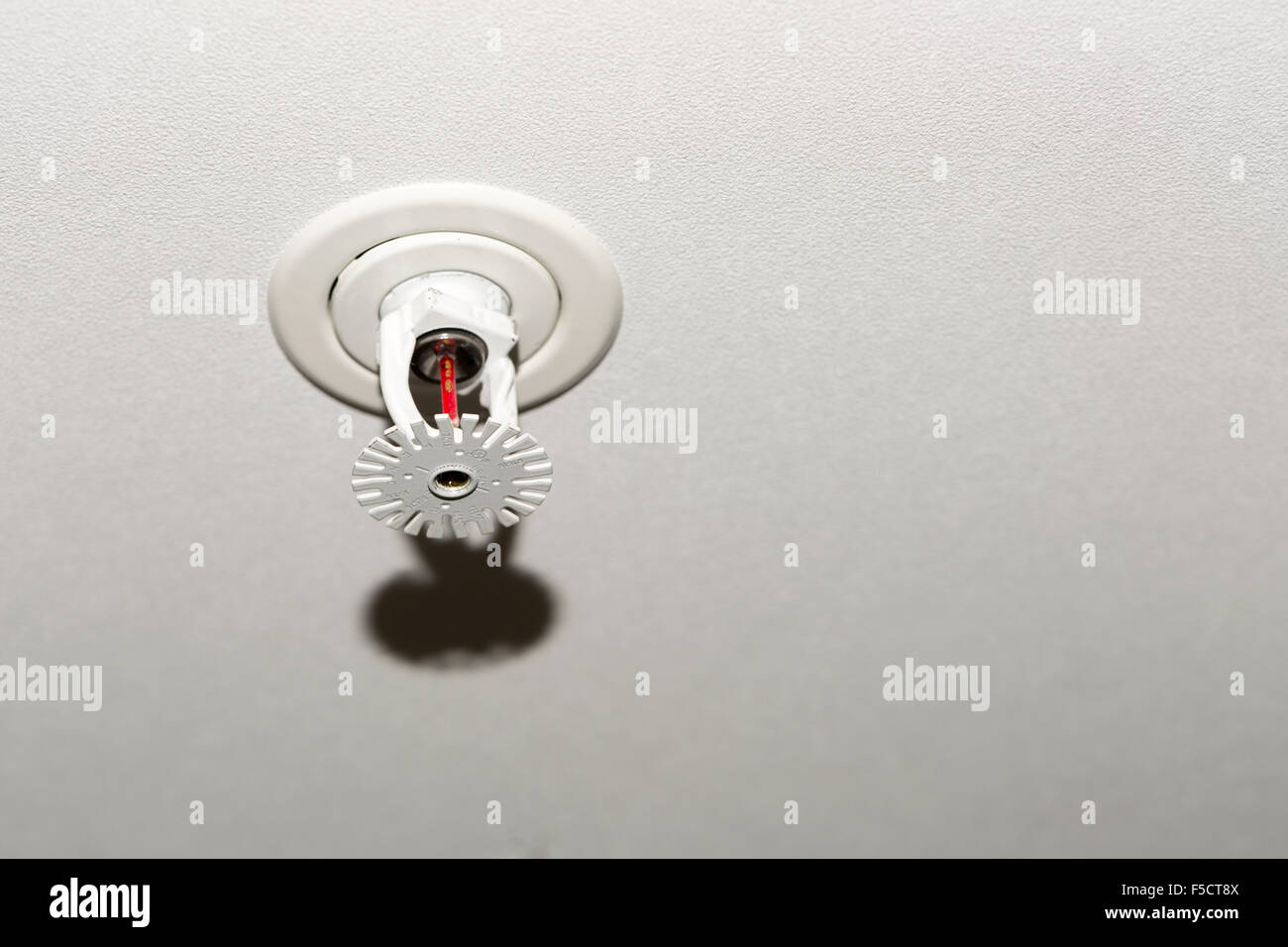 Fire Sprinkler Fermer jusqu'au plafond. Banque D'Images