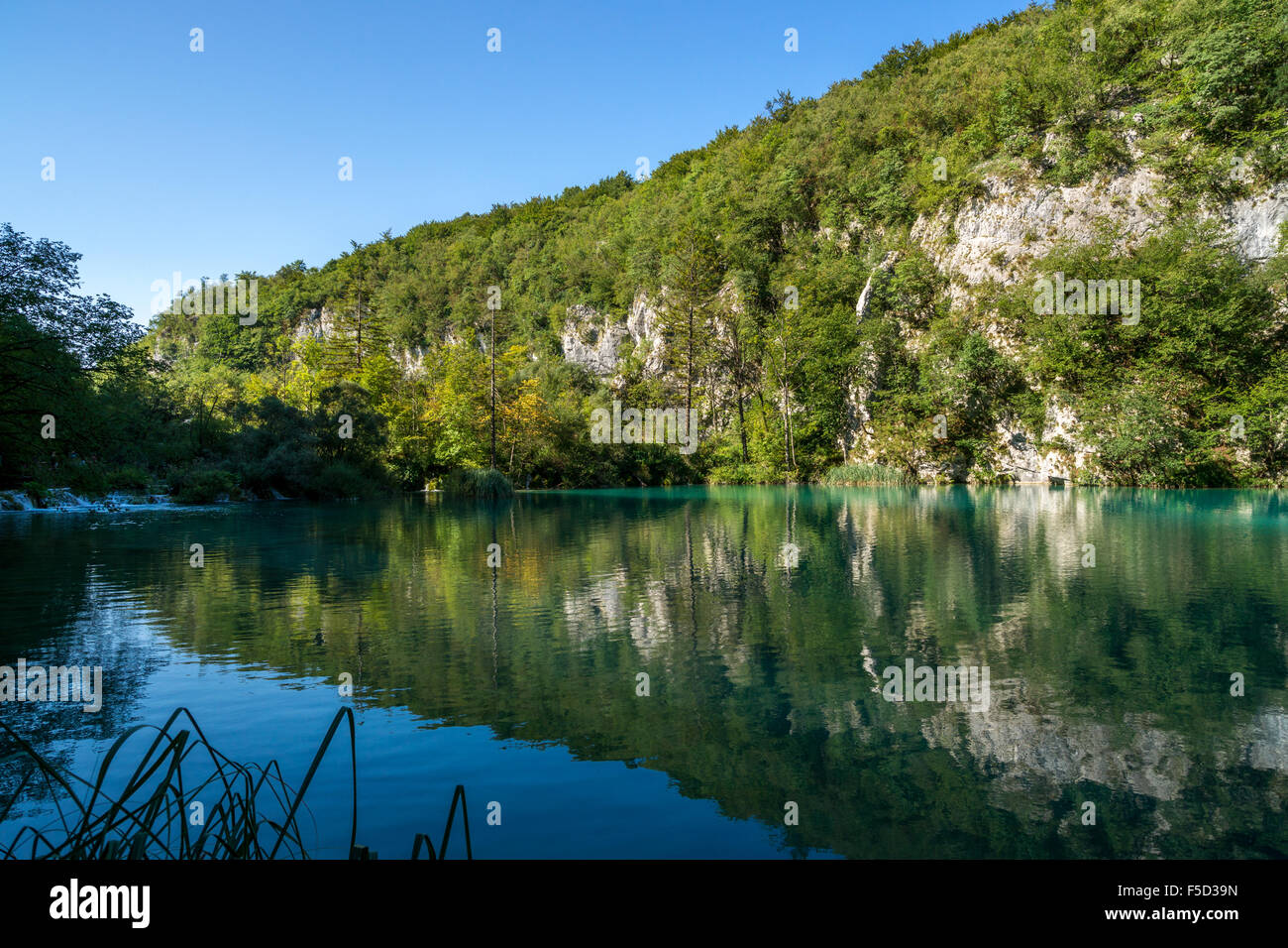 L'un des lacs inférieurs à Plitvicse Parc national en Croatie Banque D'Images