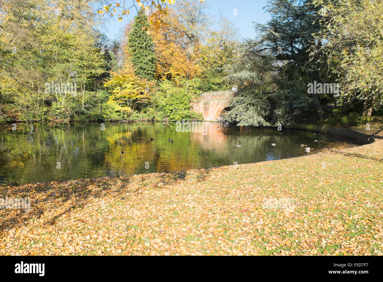 Cannon Hill Park à Edgbaston sur une journée ensoleillée d'automne Banque D'Images