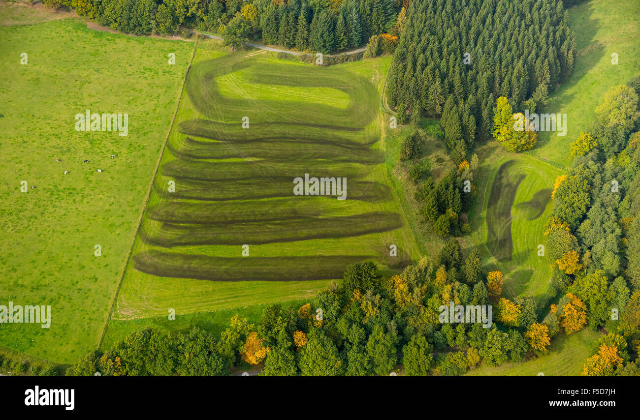 Champ fertilisé, Birmecke champ du fumier, Meschede, Sauerland, Rhénanie du Nord-Westphalie, Allemagne Banque D'Images