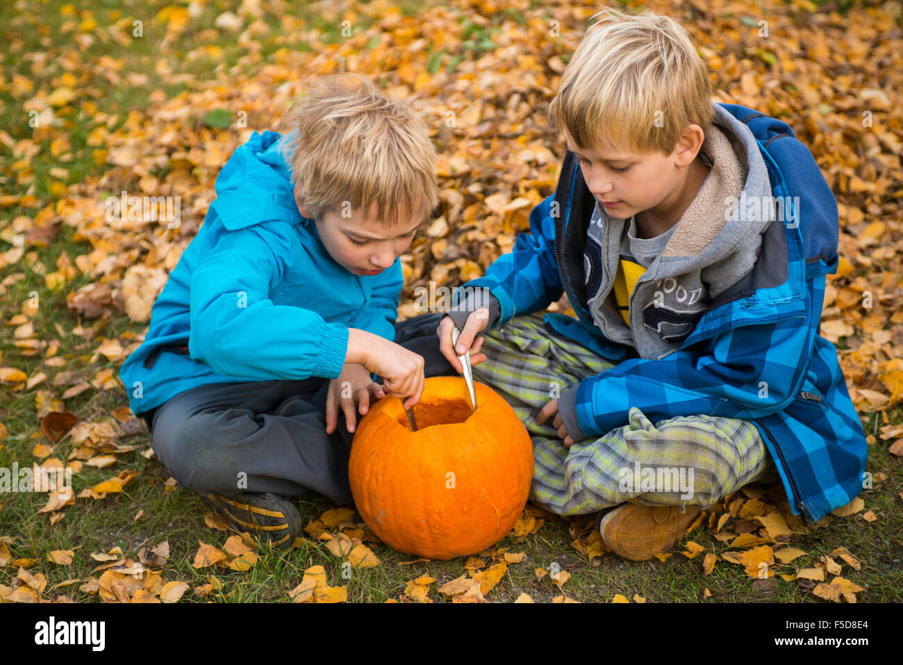 Les enfants de mêmes parents de garçons blonds hollowing out halloween citrouille à l'extérieur dans le jardin, assis sur la pelouse d'herbe d'automne, Banque D'Images