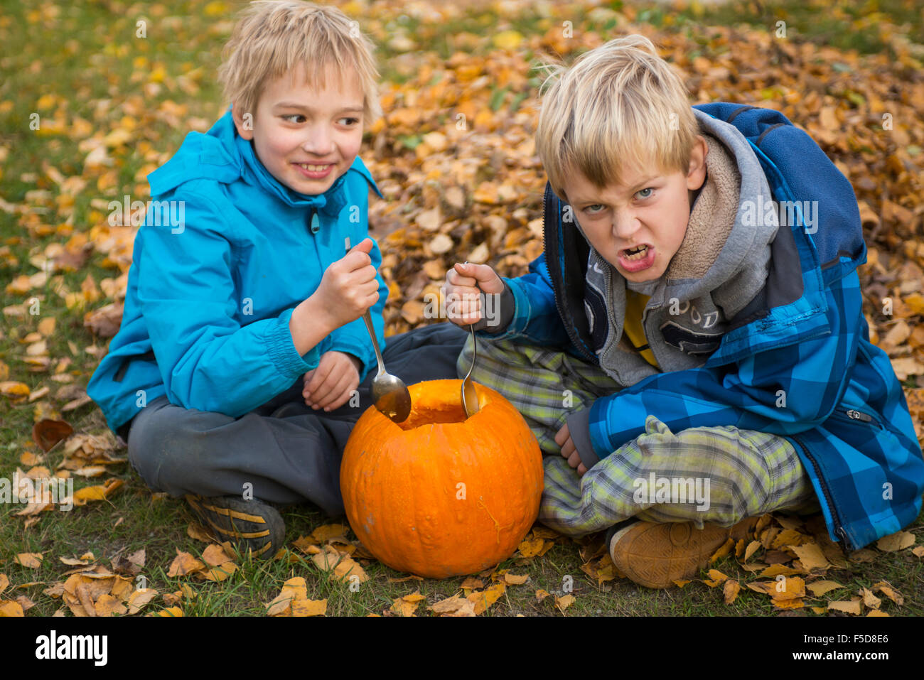 Les enfants de mêmes parents de garçons blonds hollowing out halloween citrouille à l'extérieur dans le jardin, assis sur la pelouse d'herbe d'automne, Banque D'Images