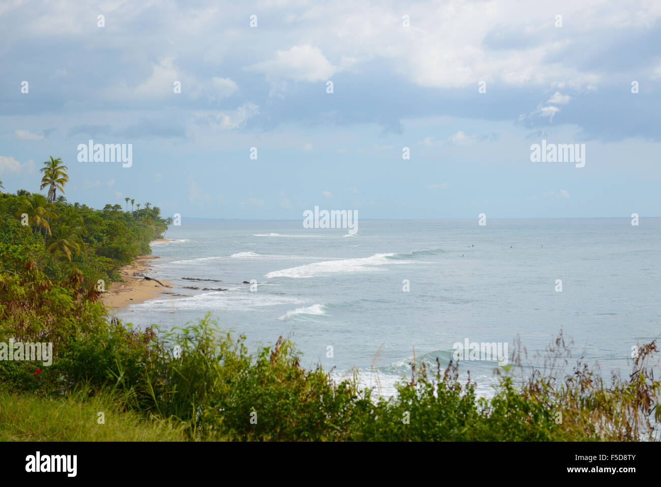 Plage d'indicateurs est un spot de surf populaire à Rincon, Puerto Rico. USA territoire. L'île des Caraïbes. Banque D'Images