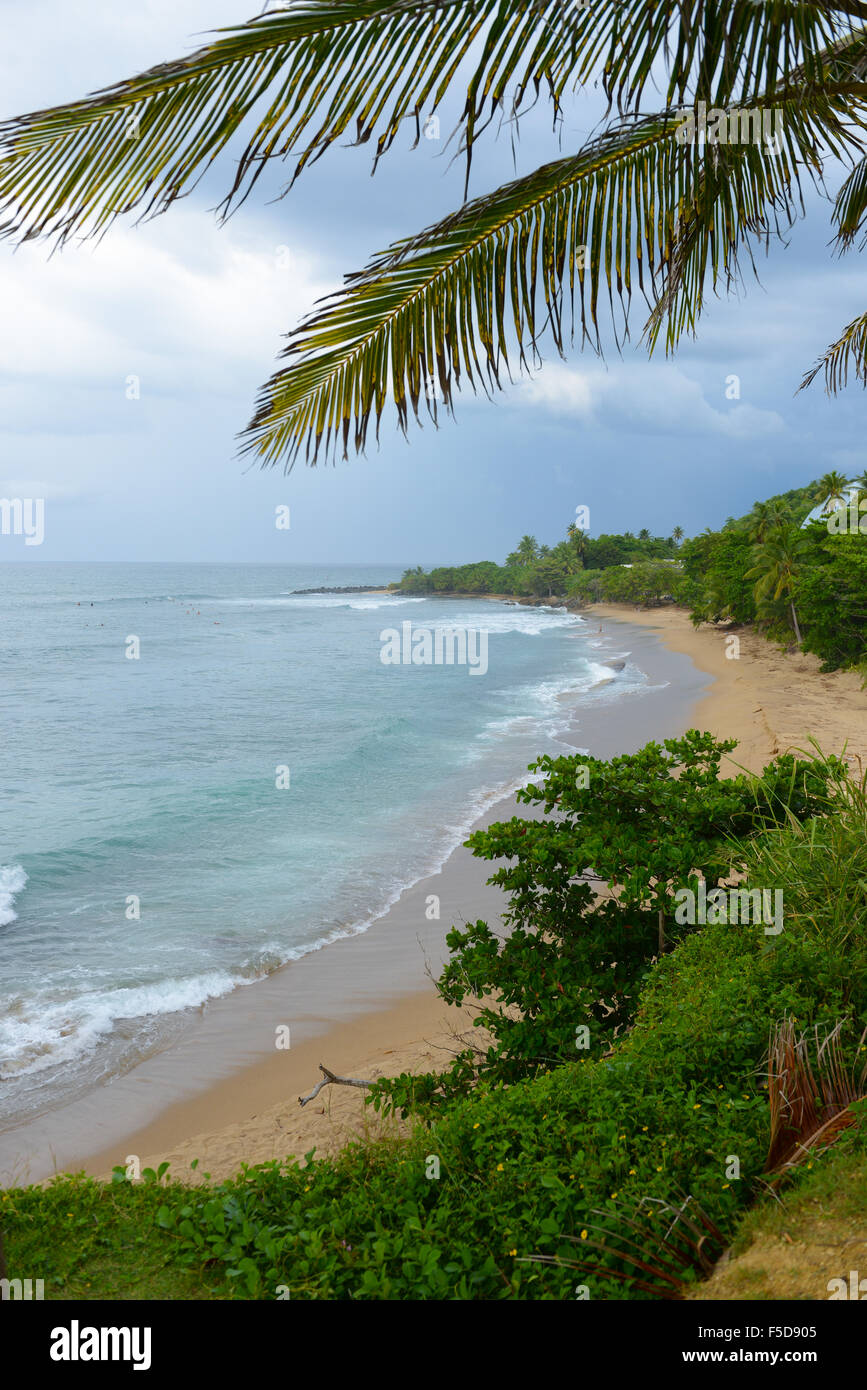 Plage de Domes est un spot de surf très populaire à Rincon, Puerto Rico. USA territoire. L'île des Caraïbes. Banque D'Images