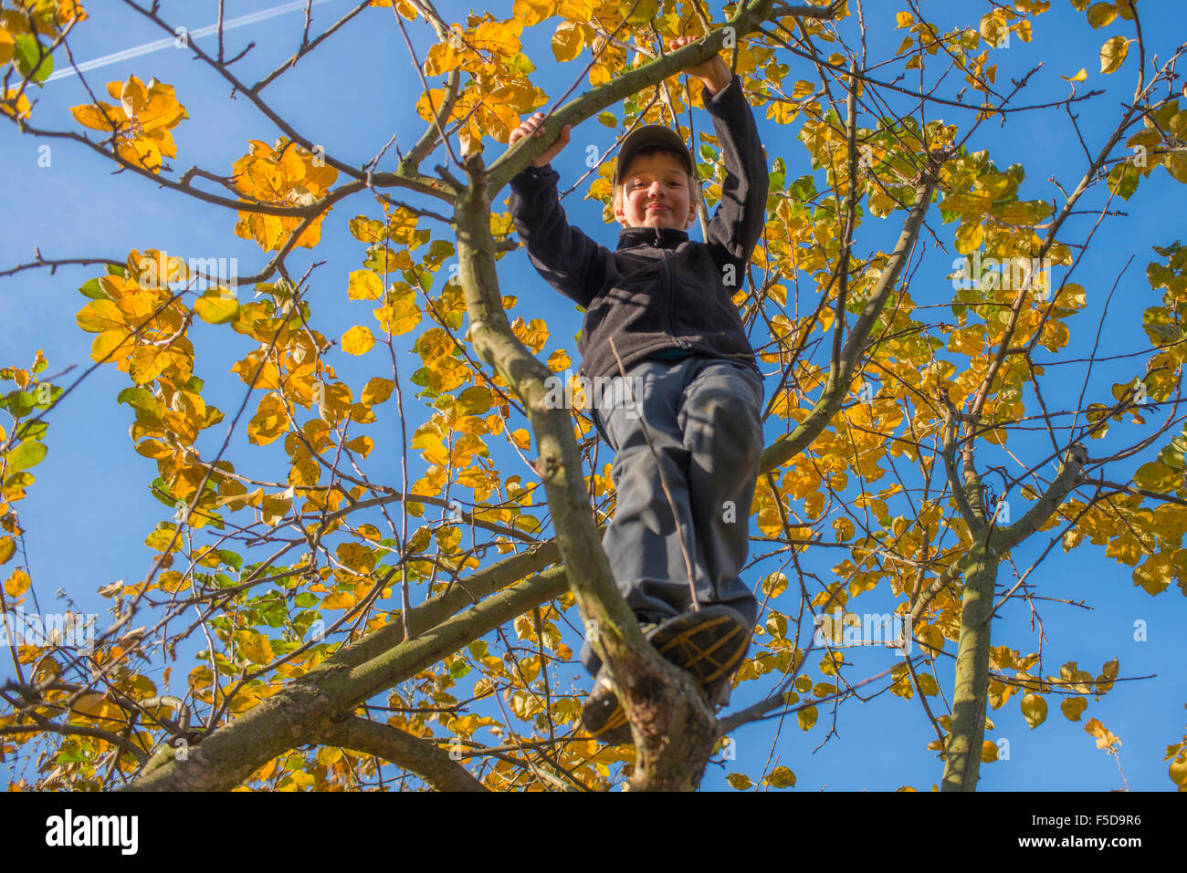 Garçon enfant sur l'accrobranche, journée ensoleillée, ciel bleu Banque D'Images