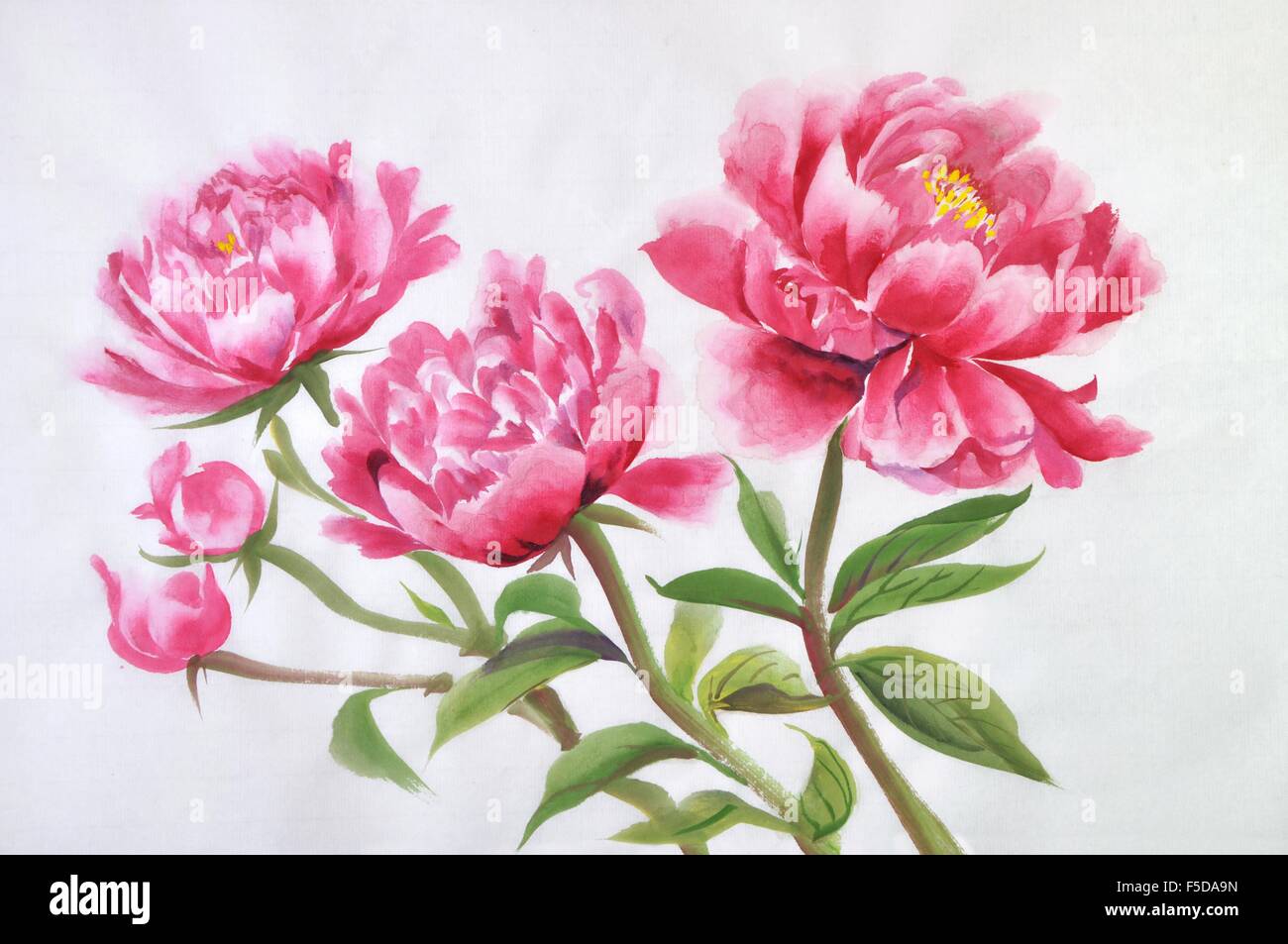 Fleurs de pivoines rose gros plan sur un fond de papier de riz, peinture de style asiatique. Banque D'Images