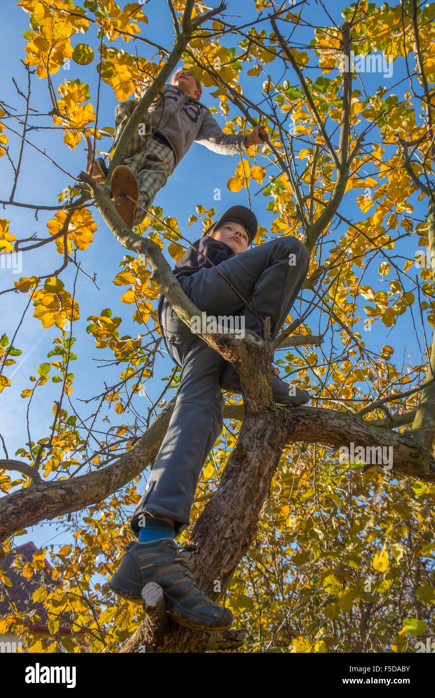 Garçon enfant sur l'accrobranche, journée ensoleillée, ciel bleu Banque D'Images