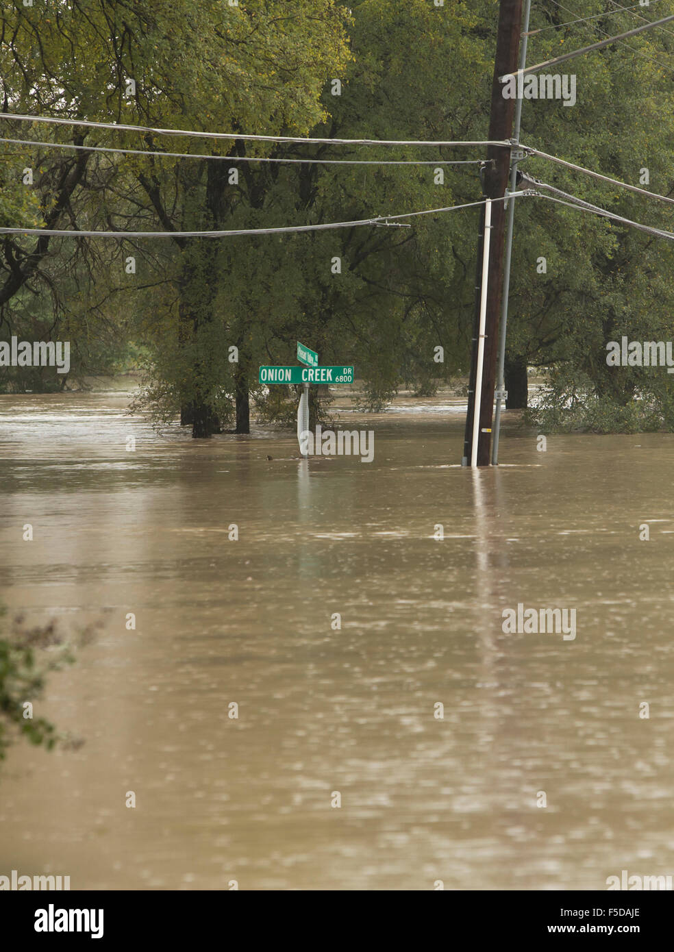 Voitures partiellement submergé et des plaques de rue dans le quartier du ruisseau de l'oignon à Austin, Texas. Banque D'Images