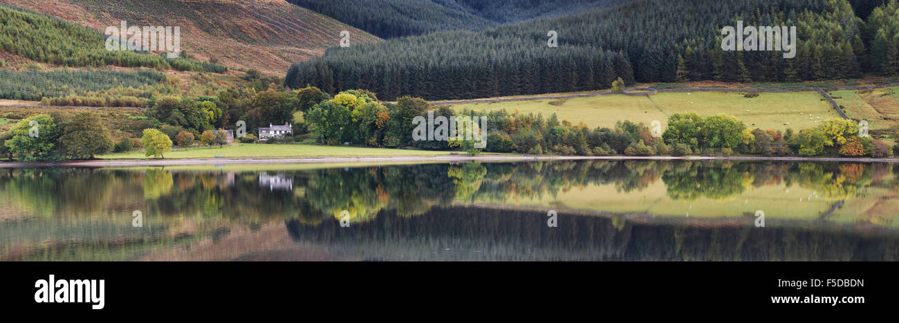 Chambre et réflexions de l'arbre en automne à St Marys Loch. Scottish Borders, en Écosse. Vue panoramique Banque D'Images