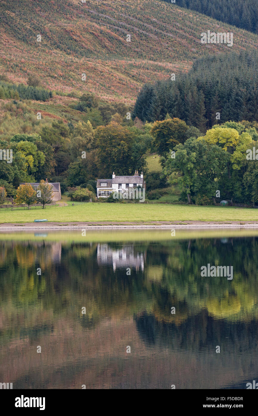 Chambre et réflexions de l'arbre en automne à St Marys Loch. Scottish Borders, en Écosse. Banque D'Images