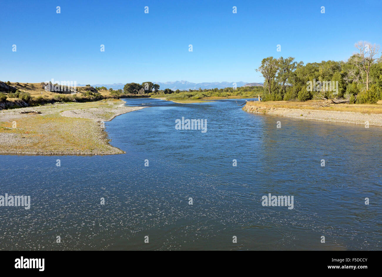 Le cours supérieur de la rivière Missouri, où le Jefferson, Madison et Gallatin, les rivières se rejoignent, près de trois fourchettes, Montana Banque D'Images
