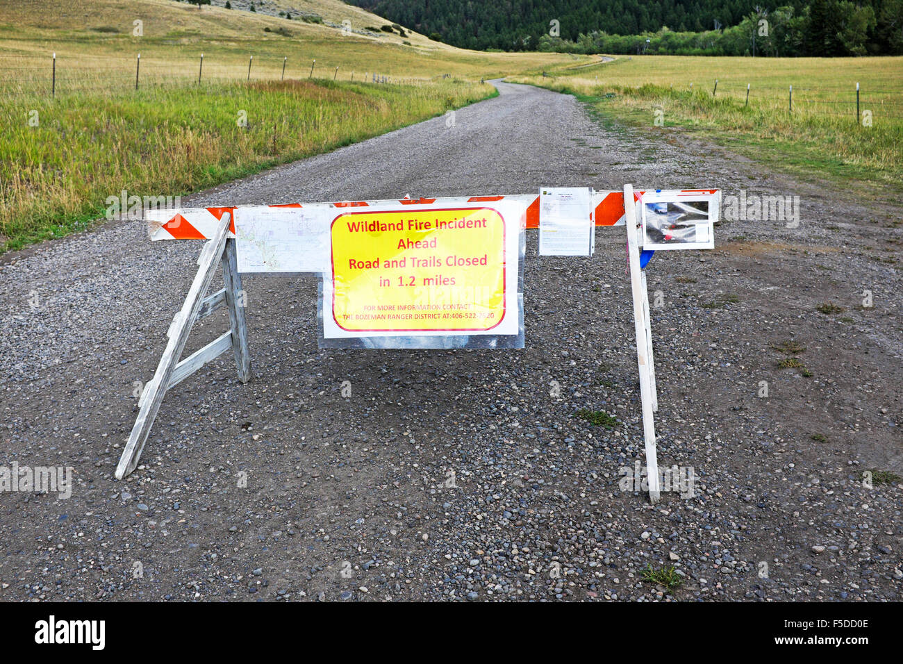 Un signe de bloquer une route forestière en raison d'un incendie de forêt près de la station de ski de Bridger Bowl, Bozeman, Montana Banque D'Images