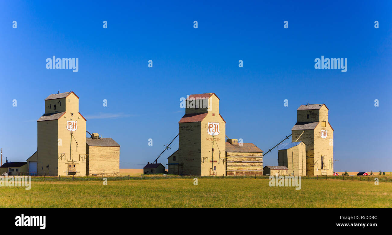 Les silos à Mossleigh, Alberta, Canada Banque D'Images
