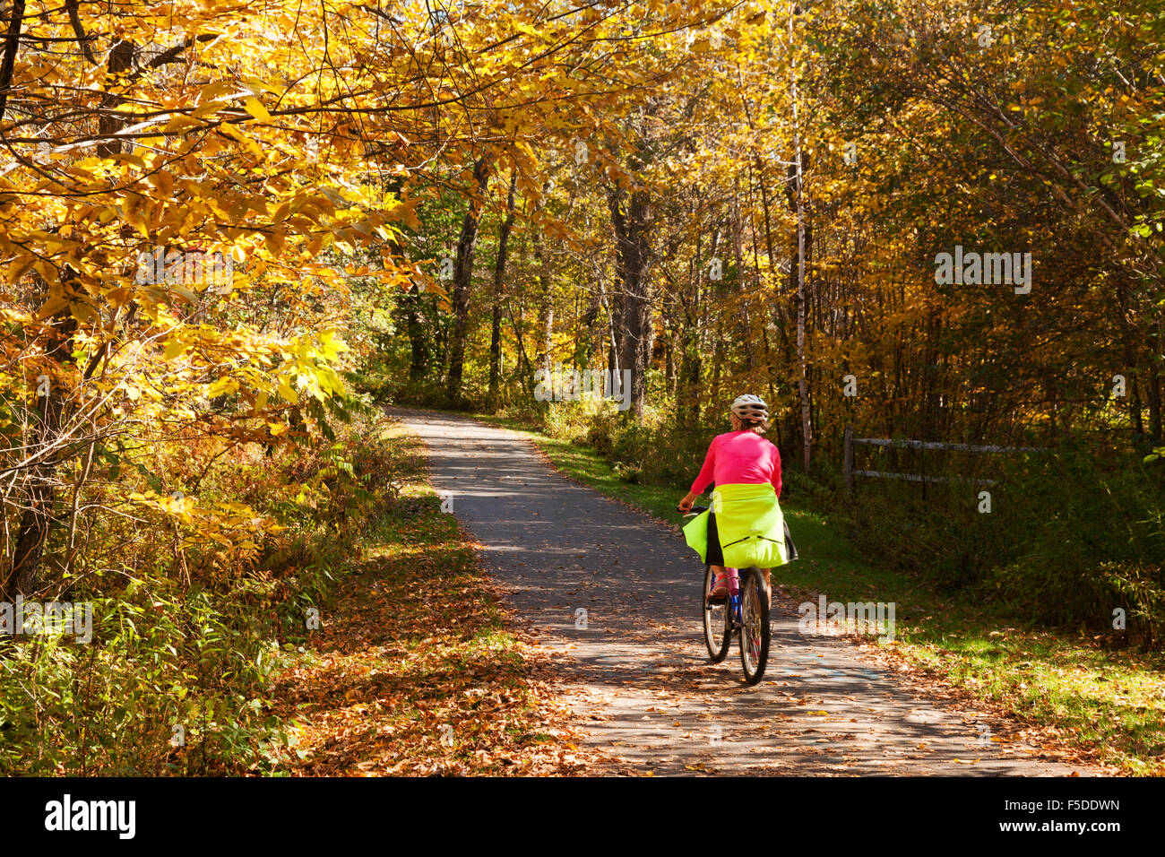 Une femme à vélo sur le chemin des loisirs Stowe en automne, Stowe, Vermont New England USA Banque D'Images