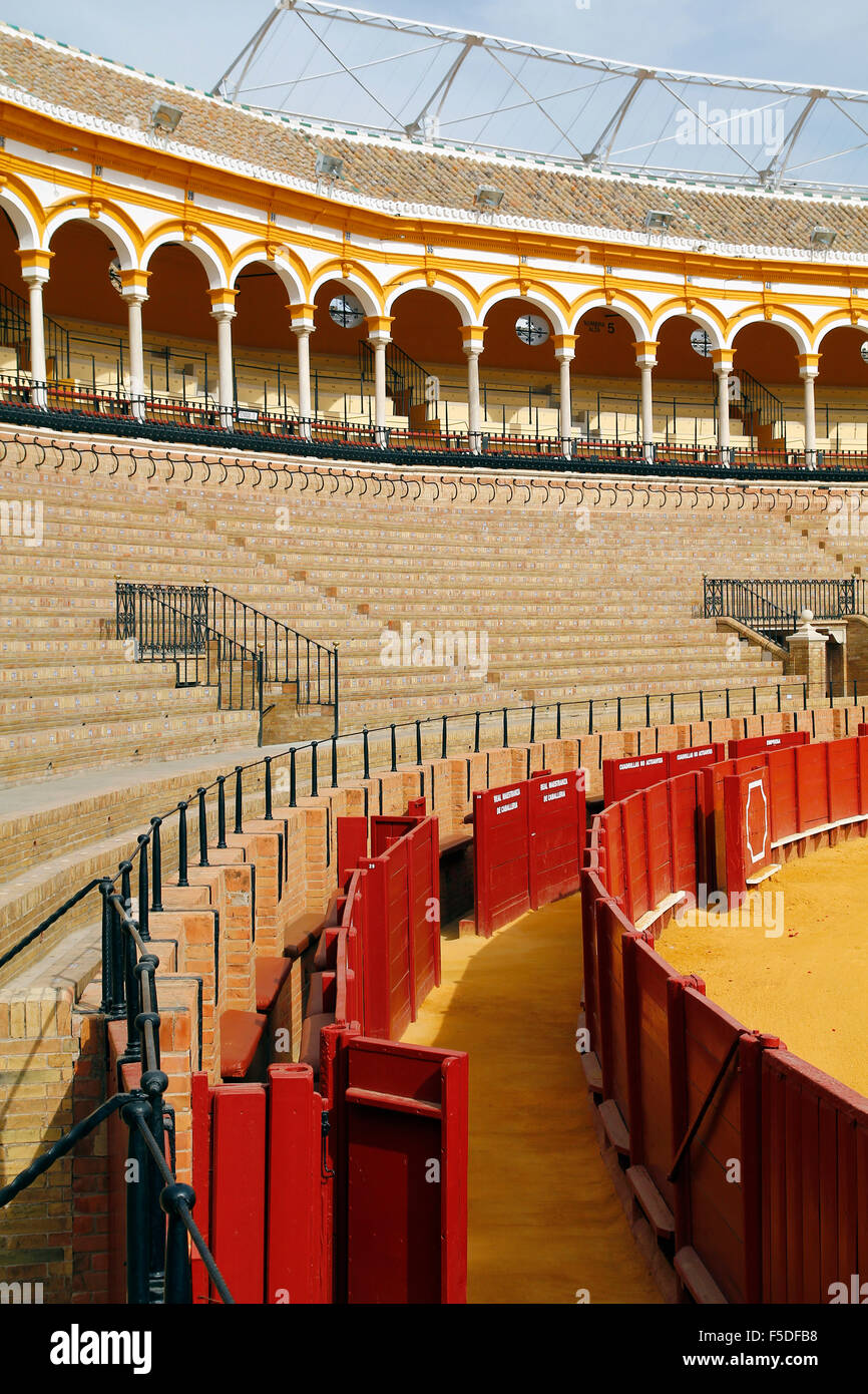 Les arènes de Séville, Espagne Banque D'Images