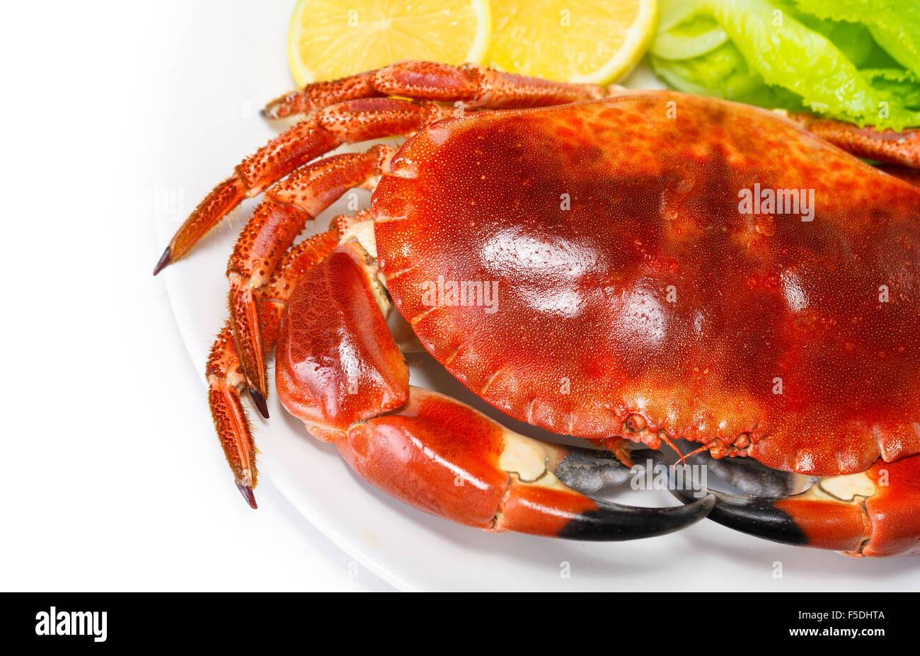 Délicieux avec du crabe rouge bouilli salade de laitue verte fraîche et citron isolé sur fond blanc, de délicieux fruits de mer Banque D'Images