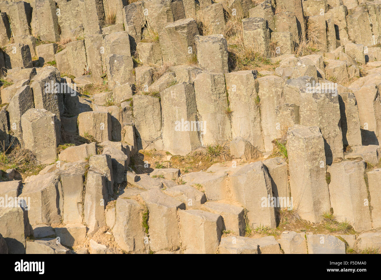 Panska Skala (Herrnhausfelsen, femme de rock), Rocky hill, formation géologique, orgue, Pierre Kamenicky Senov, République Tchèque Banque D'Images