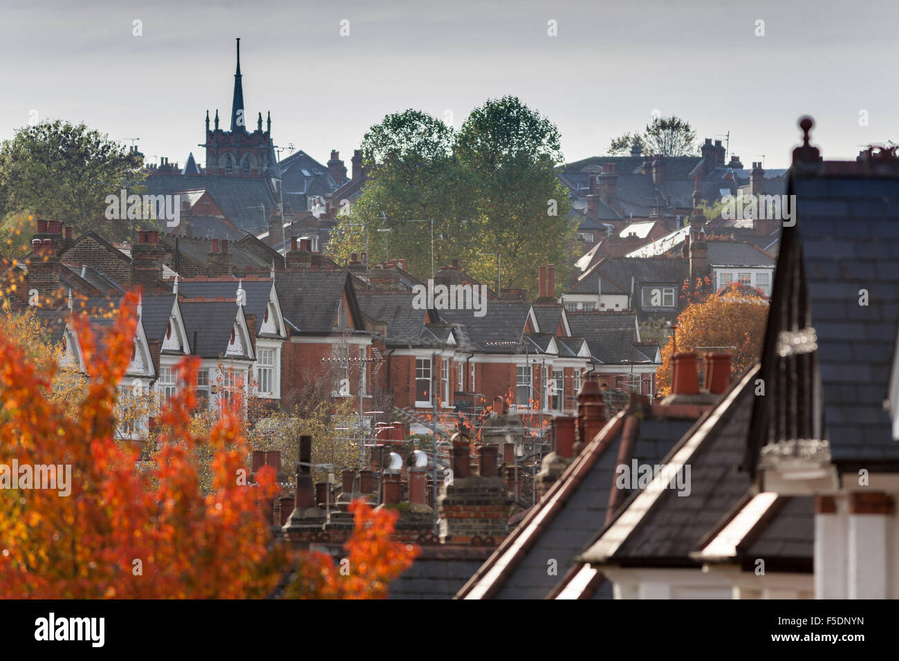 Couleur d'automne dans les arbres des Ducs Avenue, une rue dans le quartier du nord de Londres de Muswell Hill. Banque D'Images