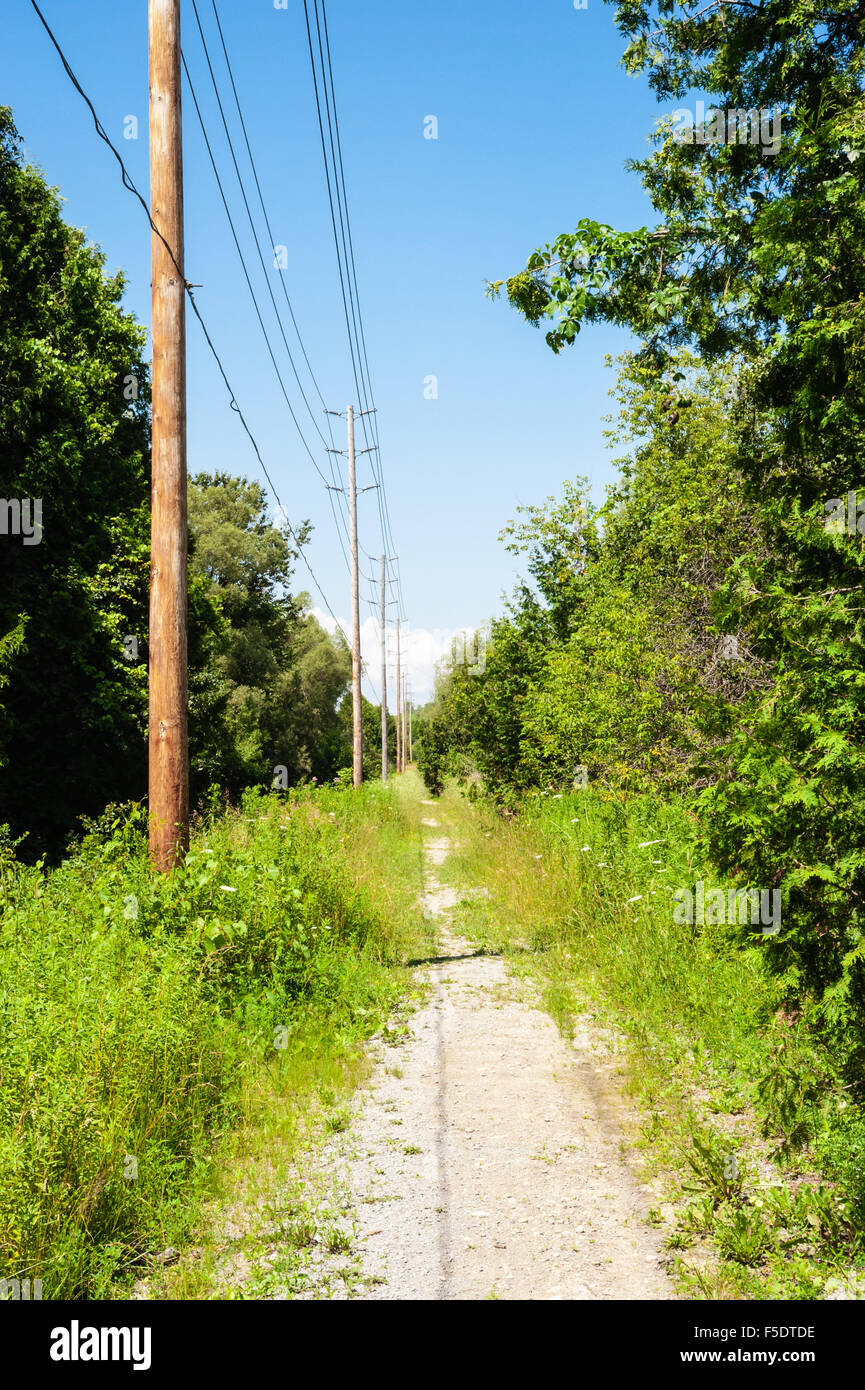 Chemin de terre en perspective fuyante à travers la forêt, le long de la rangée de poteaux et de fils électriques en bois sur ciel bleu. Banque D'Images