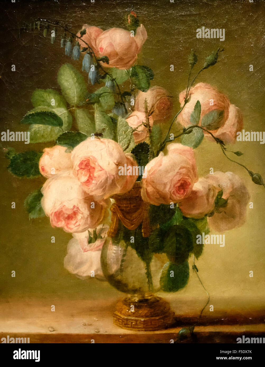 Vase de fleurs - Pierre Joseph Redoute, 1799 Banque D'Images