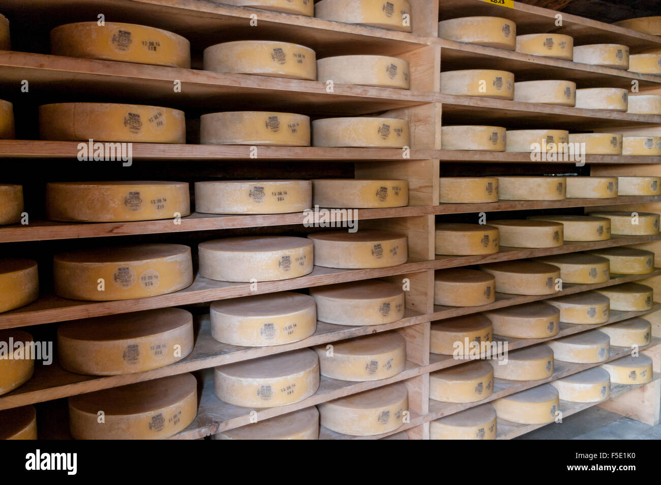 Des étagères pleines de roues de fromage (Berner Yeti AOC) dans un local de stockage à Hasliberg, Suisse. Banque D'Images