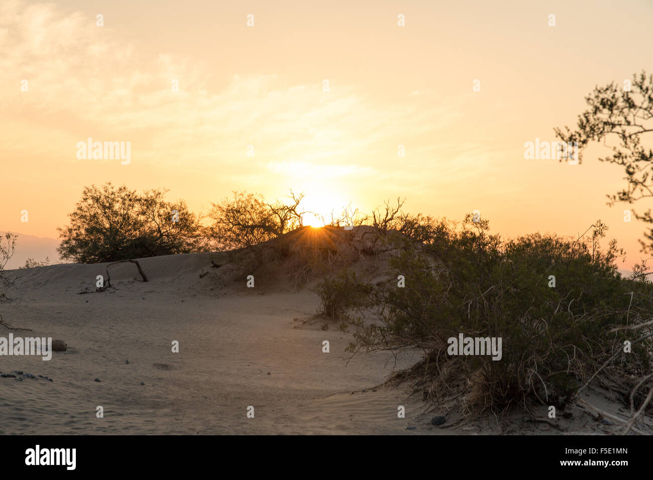 Lever du soleil à Mesquite Sand Dunes in Death Valley National Park, California, USA Banque D'Images