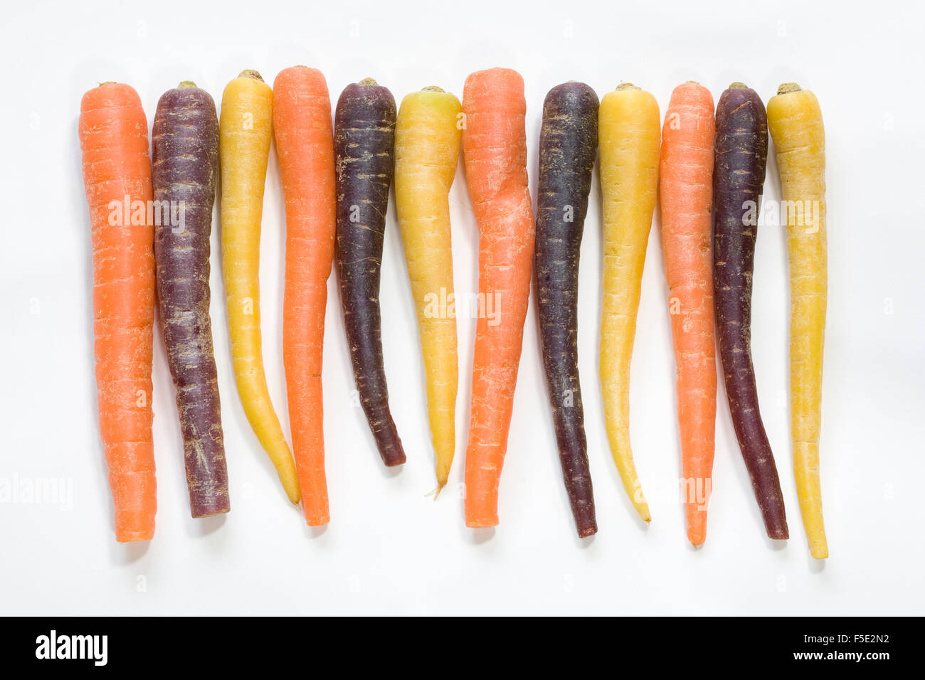 Daucus carota. Les carottes miniatures colorés. Banque D'Images