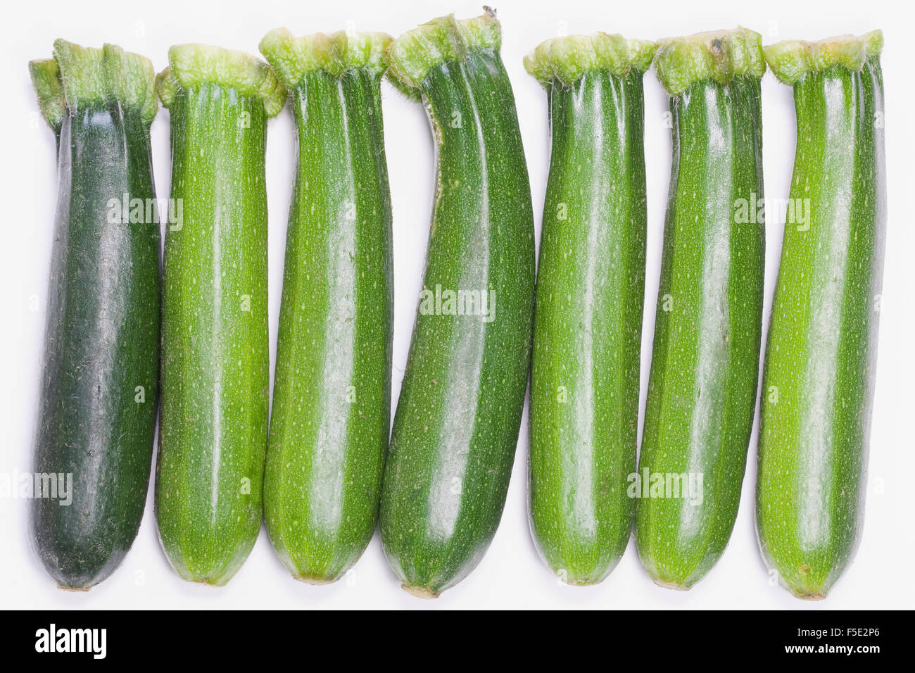 Cucurbita pepo. Sept Les courgettes miniatures dans une rangée sur un fond blanc. Banque D'Images