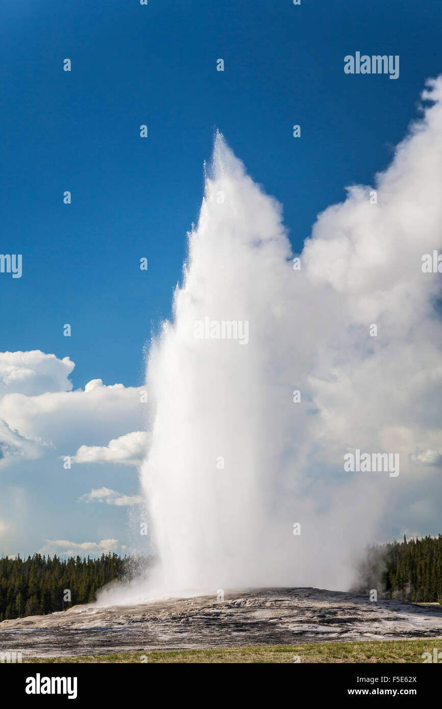 Le Old Faithful Geyser dans le Parc National de Yellowstone, Wyoming, USA. Banque D'Images