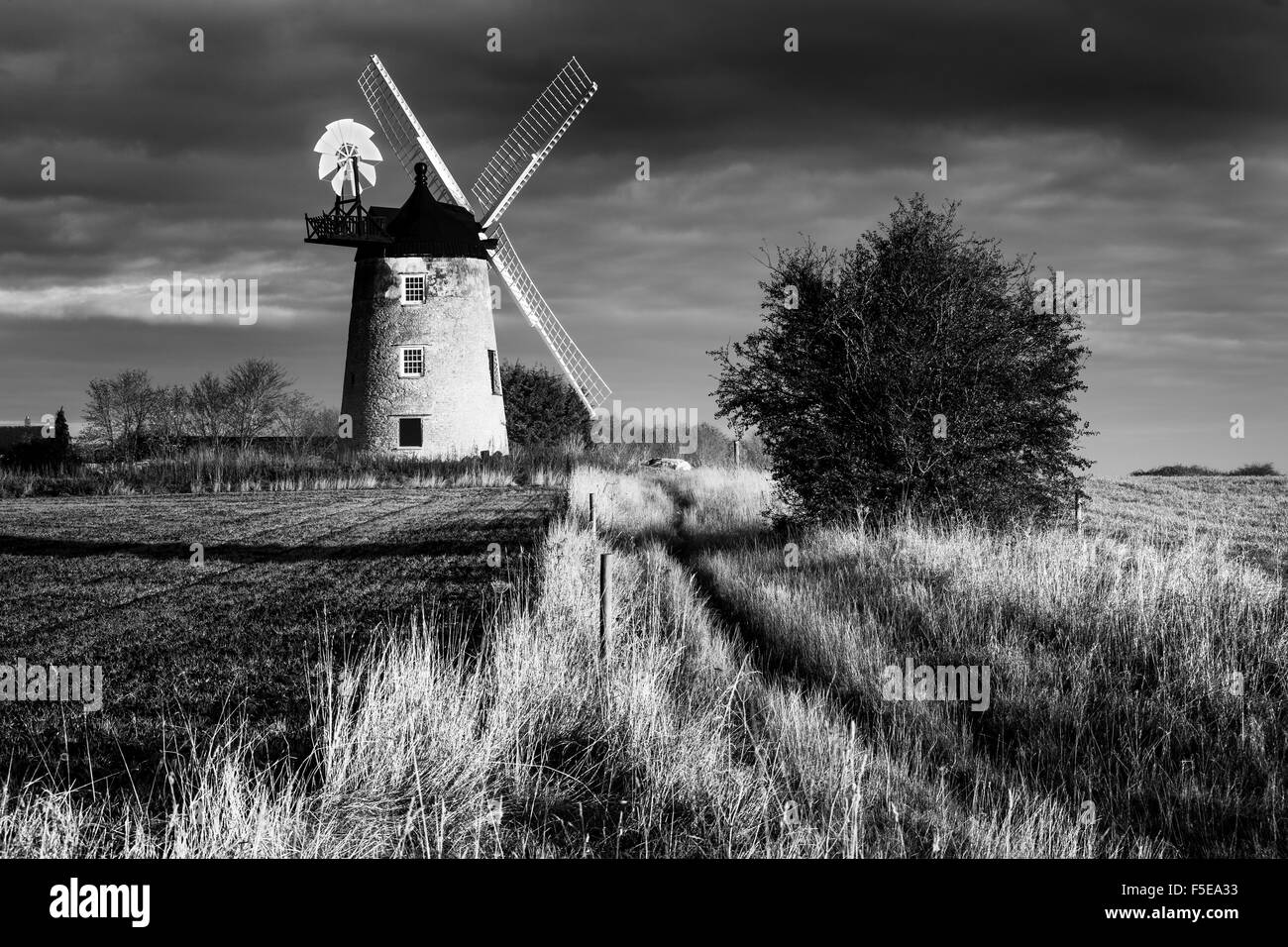 Great Haseley Windmill, Oxfordshire, Angleterre, Royaume-Uni, Europe Banque D'Images