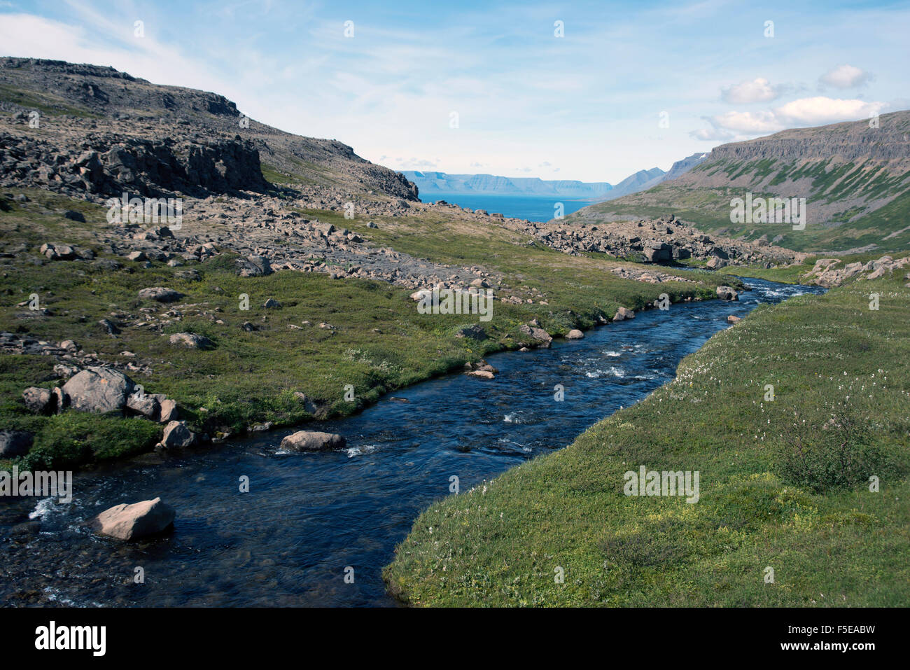 Rivière qui coule dans le fjord, dans les Fjords de l'Ouest, l'Islande, les régions polaires Banque D'Images