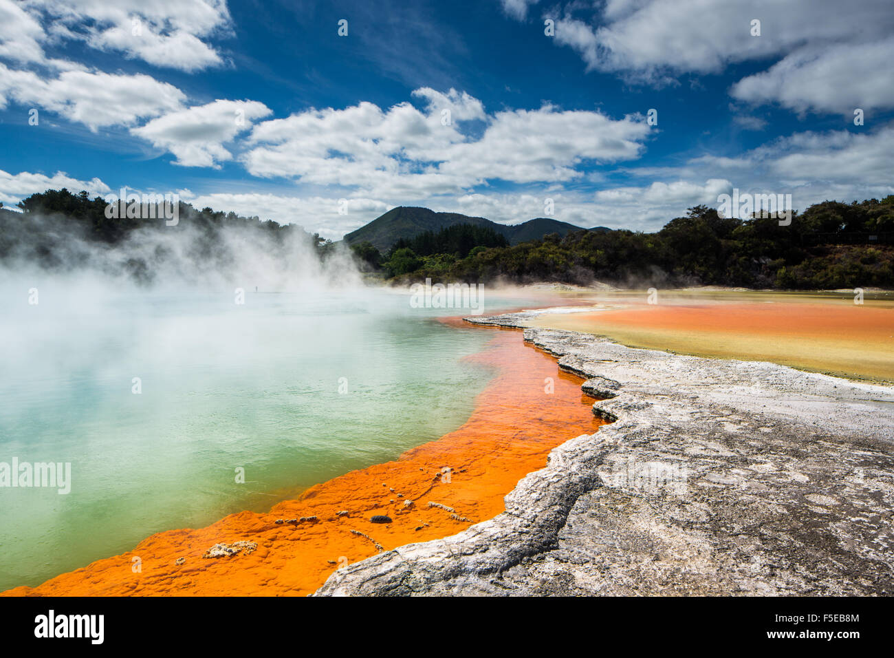Wai-O-Tapu, Rotorua, île du Nord, Nouvelle-Zélande, Pacifique Banque D'Images