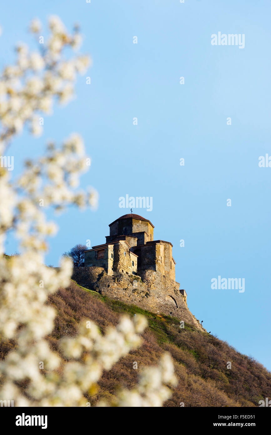 L'Église de Jvari (Église Sainte Croix), et fleur de printemps, Mtskheta, capitale historique, l'UNESCO World Heritage Site, Géorgie, Caucase Banque D'Images