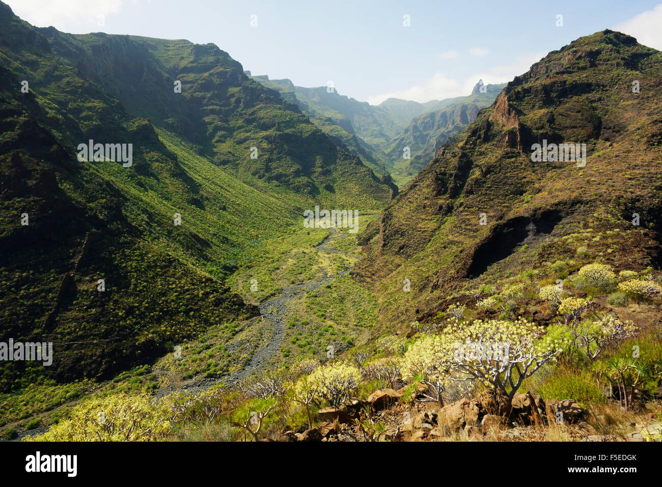 Barranco de Santiago, La Gomera, Canary Islands, Spain, Europe Banque D'Images