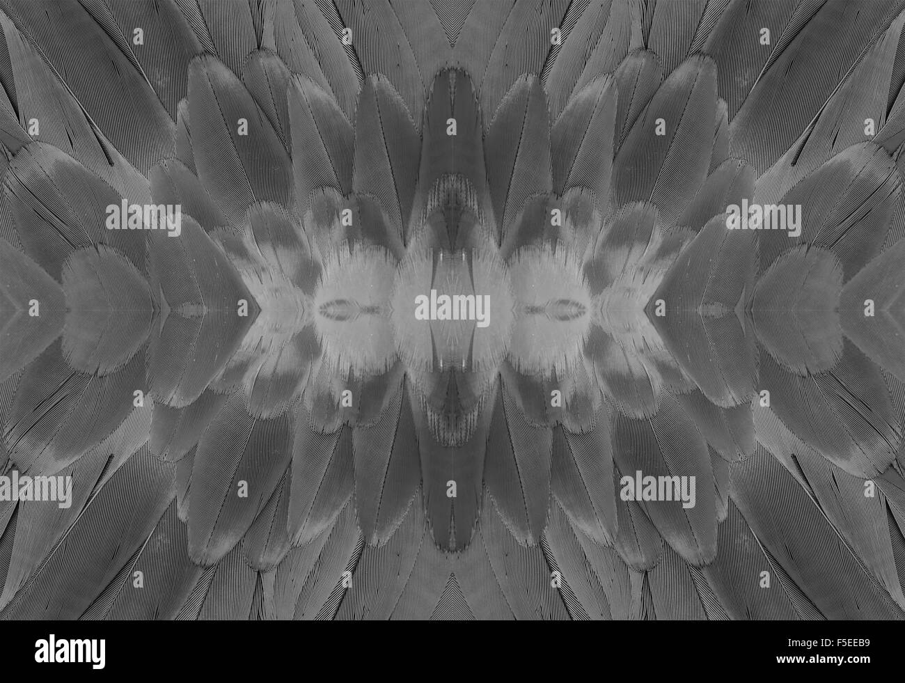 Beau vert-winged Macaw (Ara chloropterus) retour feather Banque D'Images