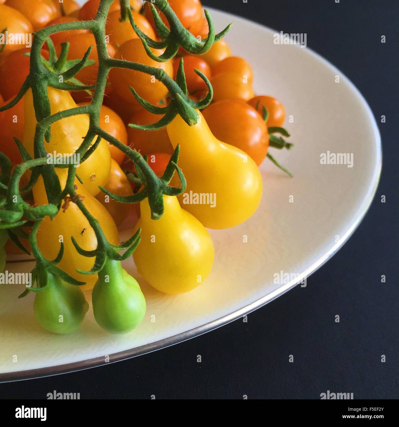 Close-up de tomates mûries de vigne Banque D'Images