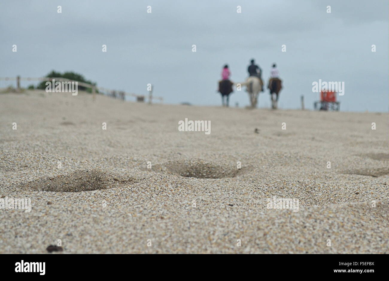 Trois personnes de l'équitation, Mar del Plata, Argentine Banque D'Images