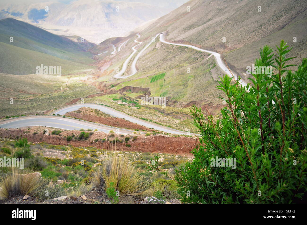 Route de montagne sinueuse, Jujuy, Argentine Banque D'Images