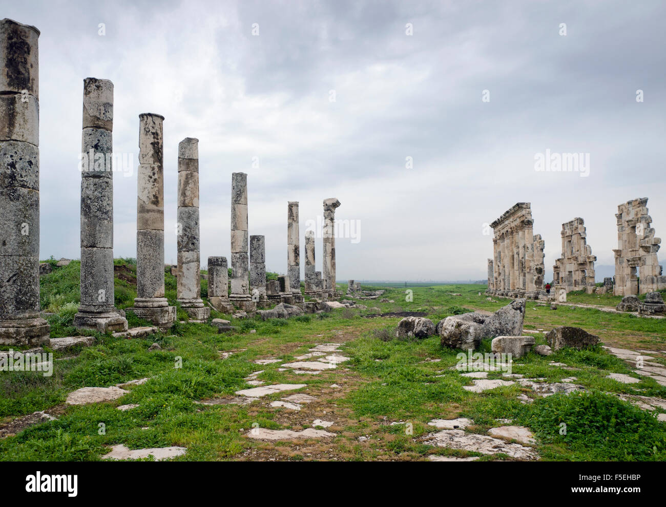 Ruines de l'ancienne cité romaine, la Syrie Hama, colonnade Banque D'Images